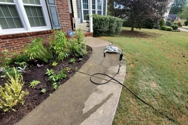 Pressure washing a sidewalk in Colonial Heights, TN. A surface cleaner sits on the wet concrete, connected to a black hose. A flower bed with green plants sits to the left of the sidewalk, next to a brick house.