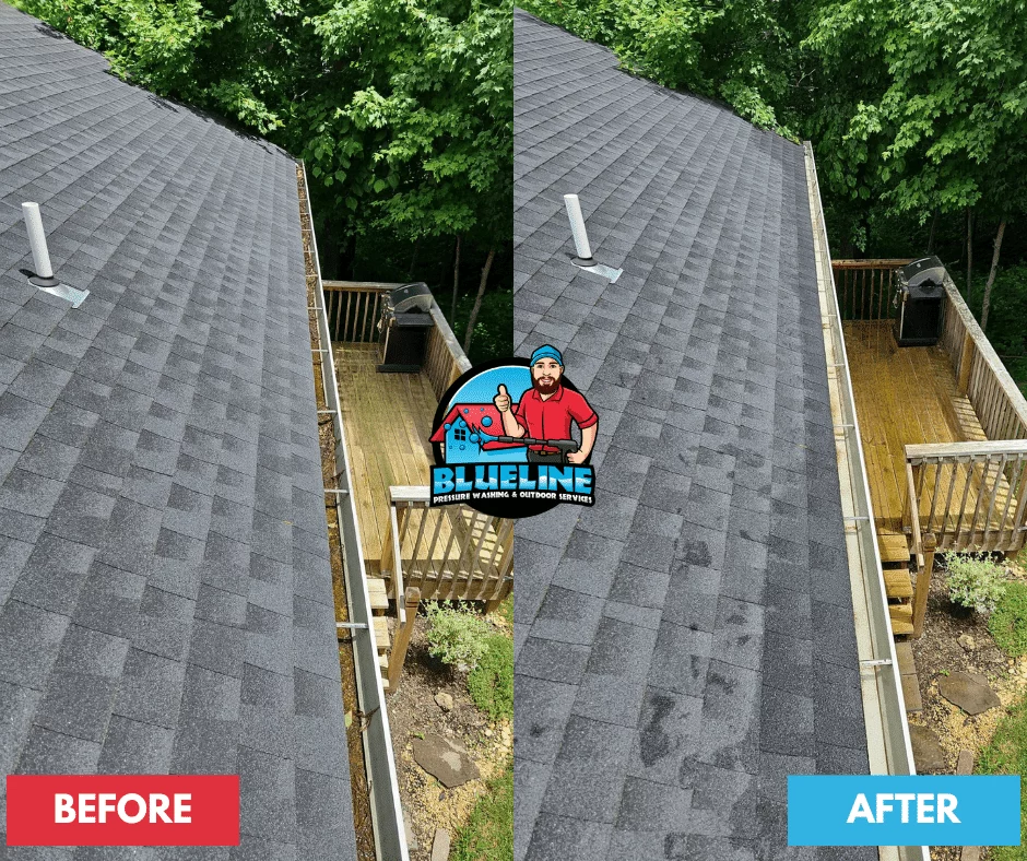 Before-and-after roof cleaning image showing a dark, stained roof transformed to a clean, gray roof. A deck is also visible, showcasing the impact of professional pressure washing. "Blueline Pressure Washing & Outdoor Services" logo included.