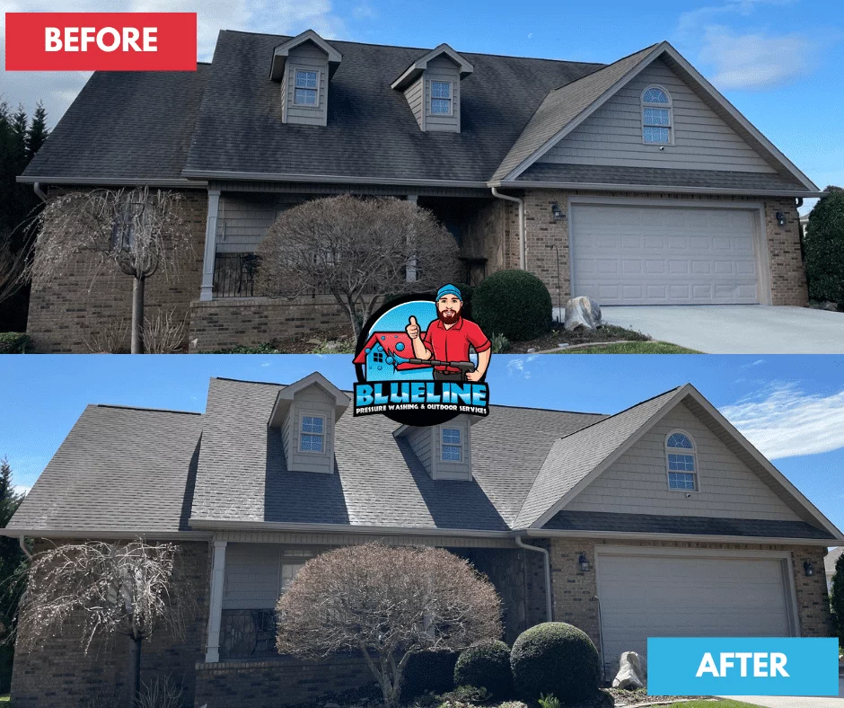 Before-and-after showing a house roof cleaning. The top image shows a roof covered in dark stains and moss. The bottom image shows the same roof after roof cleaning, looking clean and restored. "Blueline Pressure Washing & Outdoor Services" logo in the center.