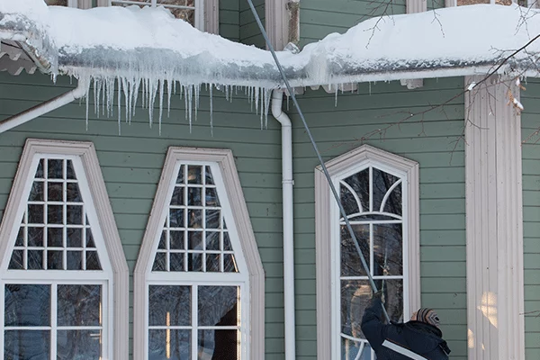 Person using a roof rake to remove snow and icicles from gutters on a green house with white trim. Prevent ice dams and gutter damage by cleaning gutters.