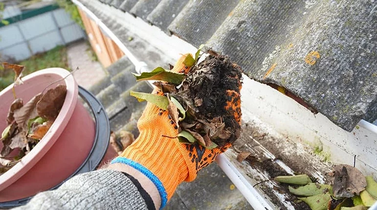 Gloved hand pulling leaves and debris from a clogged gutter. Regular gutter cleaning prevents water damage. Pressure washing and gutter maintenance in Church Hill.